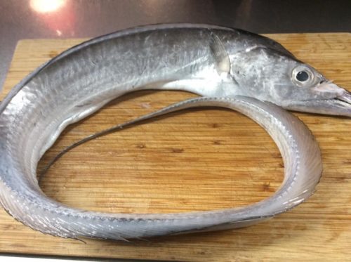 s-20374750_1245013205625736_3096315608418858677_n