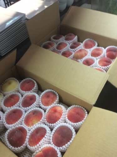 s-19875130_1222215211238869_2332131908027740767_n