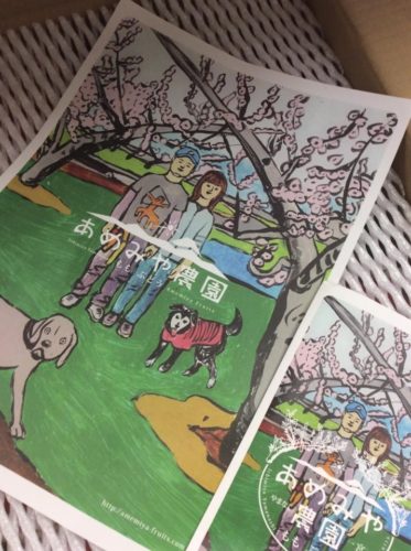 s-19875178_1222215264572197_2476302472623548101_n