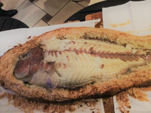 s-21032565_1268459446614445_2320072348149885471_n