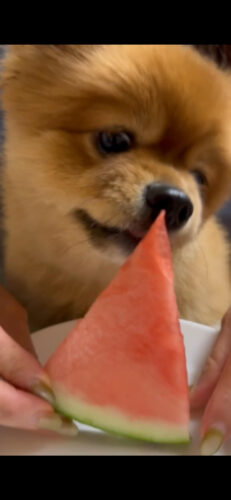 unnamed-2024-08-25t205626-324