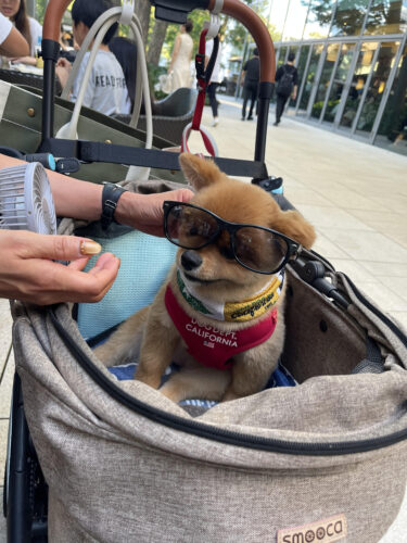 unnamed-2024-09-08t170054-102