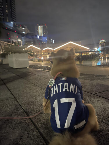 unnamed-2024-10-06t211709-129