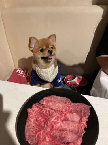 unnamed-2024-11-10t214021-020