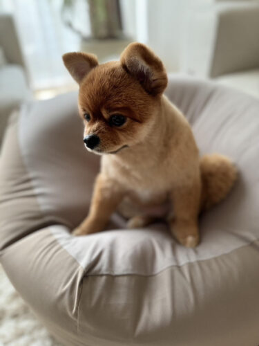 unnamed-2024-11-24t222435-323