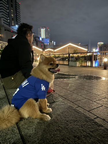 unnamed-2024-12-01t222500-952