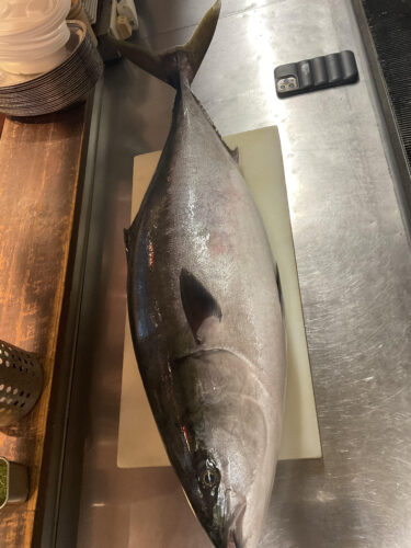 unnamed-2024-12-03t222501-747