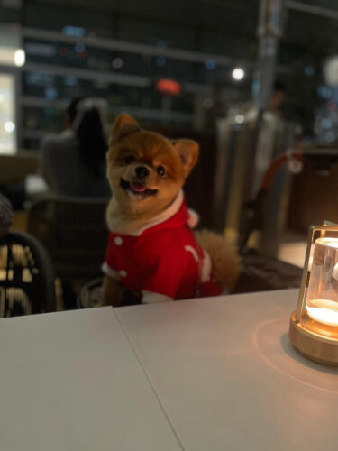 unnamed-2024-12-23t002932-094