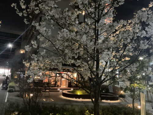 unnamed-2025-03-27t222430-475