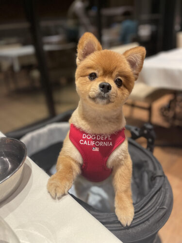 unnamed-2025-05-25t213604-510