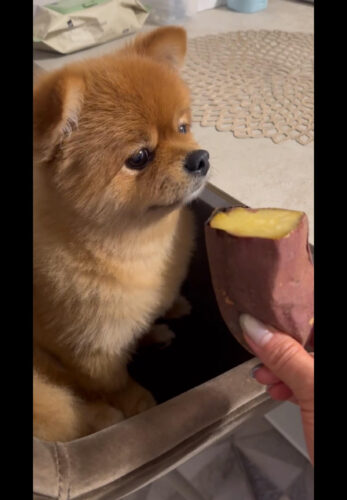 unnamed-2025-07-06t183506-170