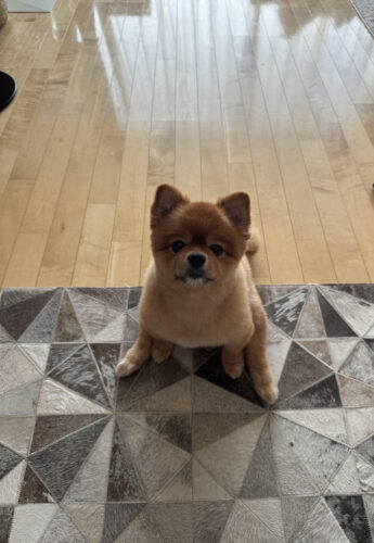 unnamed-2025-08-31t214036-557