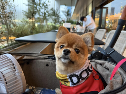 unnamed-2025-09-21t214529-567