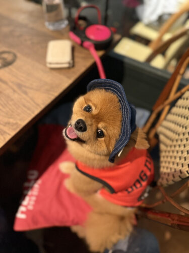 unnamed-2025-10-05t225144-675