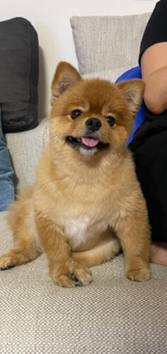 unnamed-2025-10-19t221239-807