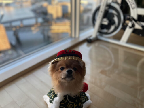 unnamed-2025-11-16t203638-896