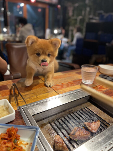 unnamed-2025-11-24t000739-172